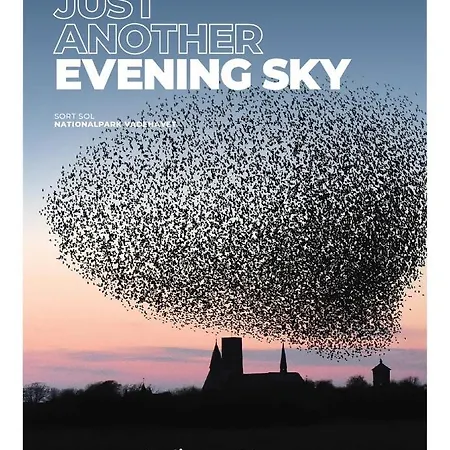 شقة Sonderport Bed & Kitchen ريب